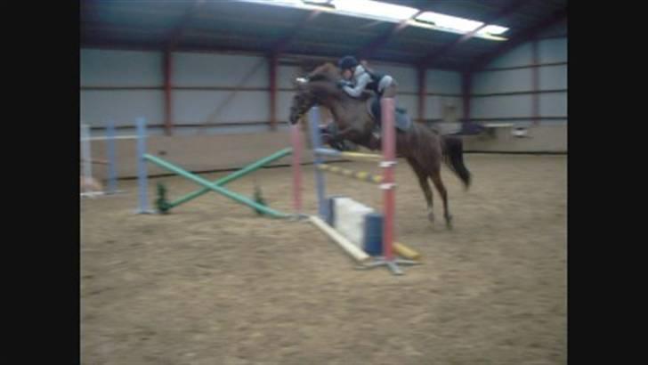 DSP Cirkeline - Cirkeline og jeg (; springer 120 cm - taget fra video deraf kvaliteten billede 12