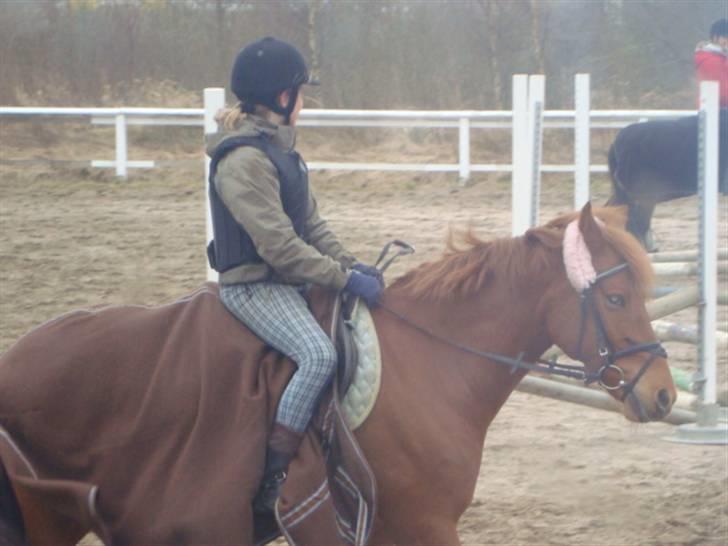 Anden særlig race coco chanel. R.I.P - skriter varm til spring undervisning :) billede 10
