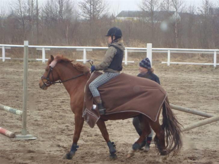Anden særlig race coco chanel. R.I.P - skriter d. 04-04-10 billede 13