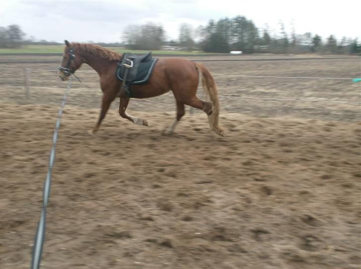 Frederiksborg Phie Kattegat billede 16