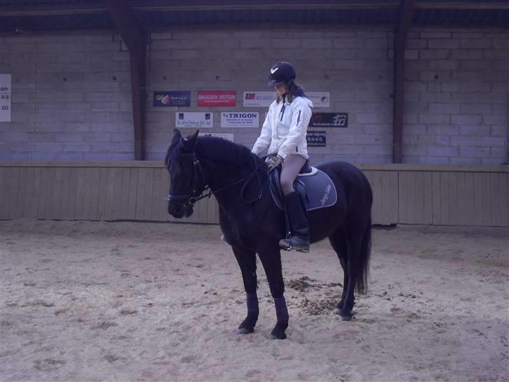 Anden særlig race Fantasy - When I see your face There´s not a thing that I would change Cause you´re amazing Just the way you are (´:´<33. [Foto; Pernille L] billede 1