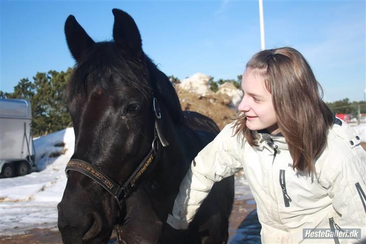 Anden særlig race Fantasy - Fordi jeg altd var glad når jeg var i dit nervær. [Foto;Mette Andersen] billede 2
