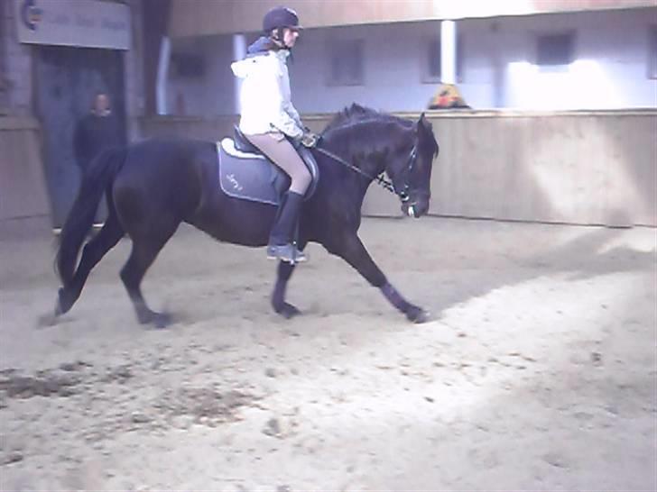 Anden særlig race Fantasy - Hvis jeg kunne bestemme ville jeg blive ved dig foraltid. [Foto; Pernille L] billede 3