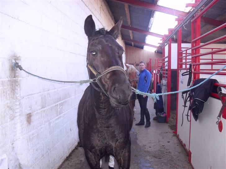 Anden særlig race Fantasy - Da jeg så dig, så jeg kærlighed.  [Foto; Mig] billede 4