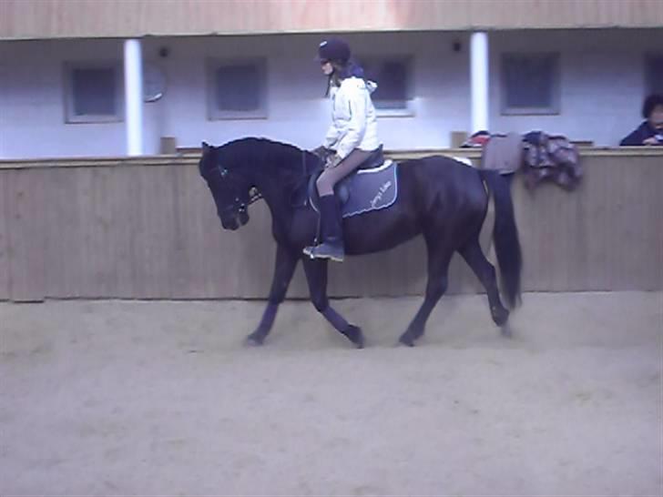 Anden særlig race Fantasy - den største sorg i livet er at miste. [Foto; Pernille L] billede 5