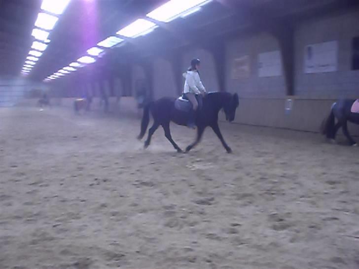 Anden særlig race Fantasy - Det hele kan forsvinde på få sekunder!... lige pludselig var du væk. [Foto; Pernille L] billede 6