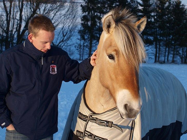 Fjordhest Baldrian - 2 gutter som betyder uendeligt meget.  billede 8