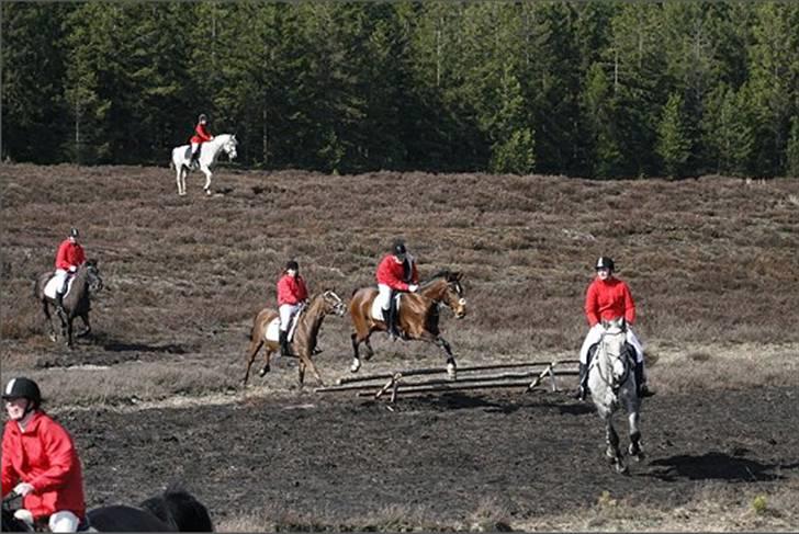 Holstener Ocean's Cypre - Et af de sidste spring på jagten, vores første grøft. 3/4 2010 billede 12