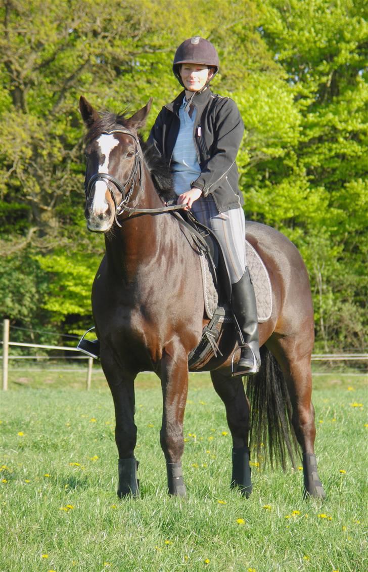 Anden særlig race Kasper  - Mig & Kappe :o) billede 2