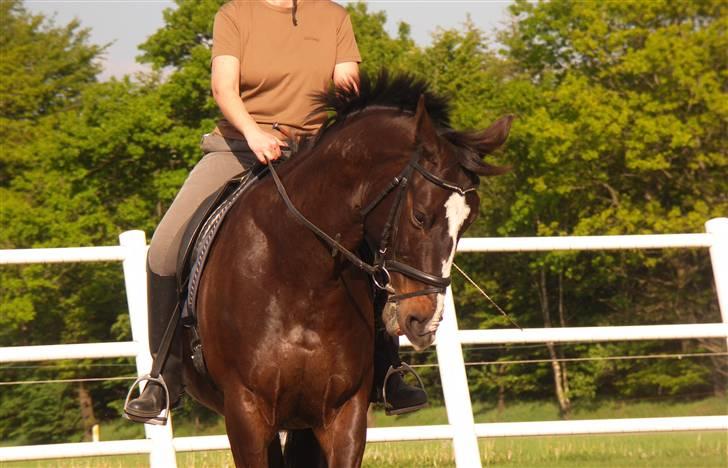 Anden særlig race Kasper  - Min smukke pruhhh :o) billede 3