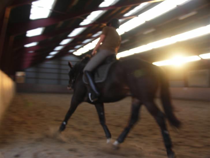 Anden særlig race Kasper  - Sjov billede .. billede 5