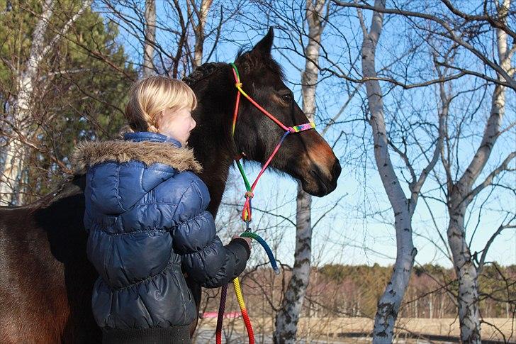 Tysk Sportspony Bonnie  - Den måde du takler nye ting på forbløffer mig. din tillid til mig er blevet stor og vi står nu sammen som et stærkt team der kan klare det hele :D  *Foto AMP* billede 12