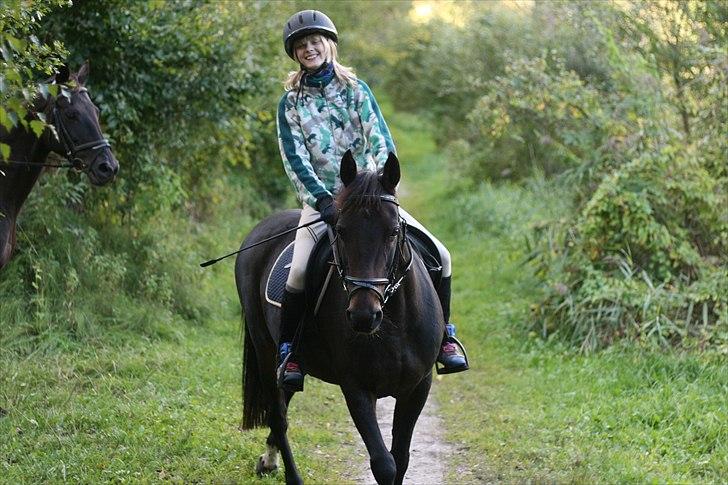 Tysk Sportspony Bonnie  - På skov tur :p *Foto Jose* billede 14