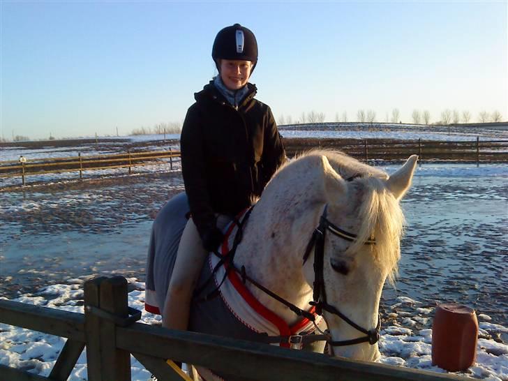 Anden særlig race Lafajet billede 17