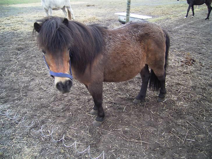 Anden særlig race Claus Benedicte Pedersen - Sku irriterende man skal stå her og vente på mad... billede 13