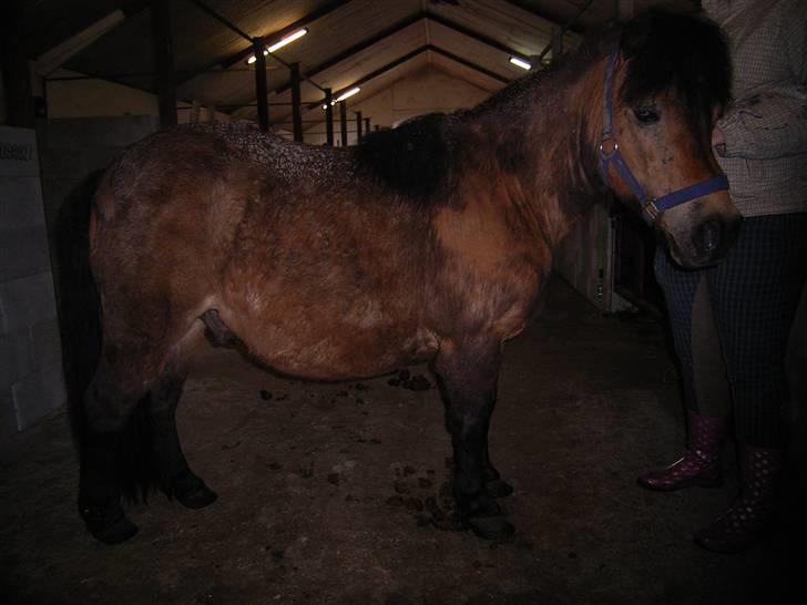 Anden særlig race Claus Benedicte Pedersen - Jeg sagde jo jeg bare ville rulle mig... billede 14