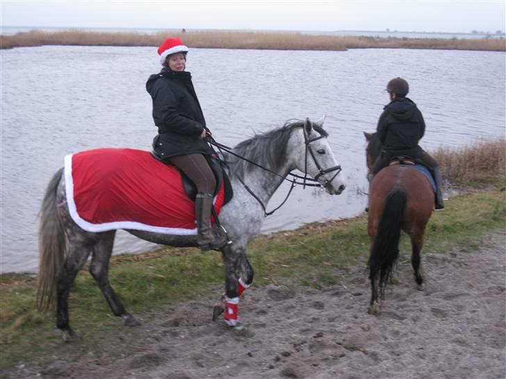 Fuldblod (XX) Starlight *RIP smukkeste* - Jul 2009 billede 4