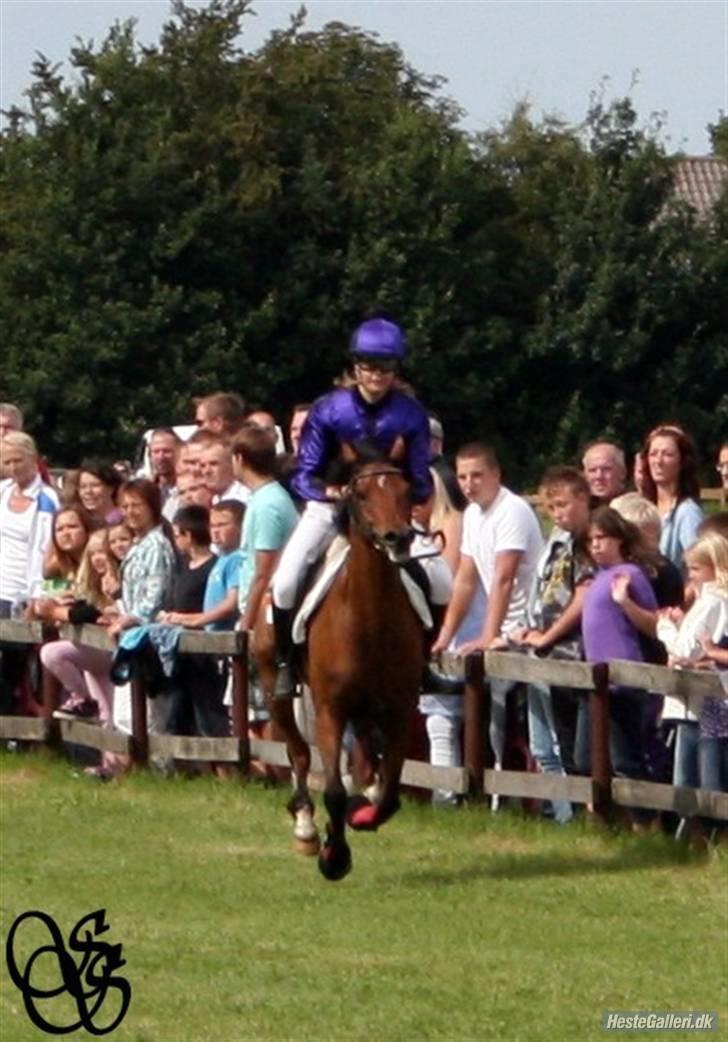 Hollandsk Sportspony Wester Aikemas Emiel <3  - pandrup væddeløb - blev nummer to. (anden gang vi red væddeløb) 2009<3. billede 18