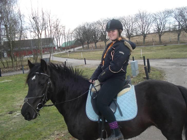 Anden særlig race Moonlight <3 t billede 12