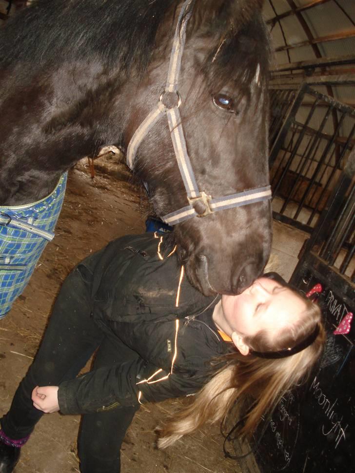 Anden særlig race Moonlight <3 t billede 16