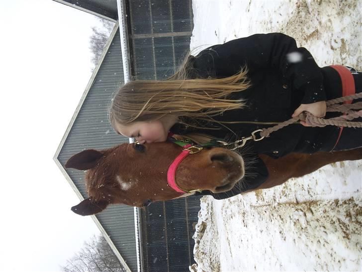 Anden særlig race Fanta *SOLGT :'(*  - Mys mys :* billede 11