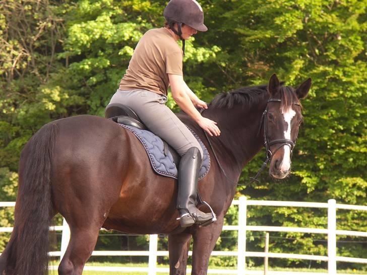 Anden særlig race Kasper  - Er han ikke bare søøøød.. billede 10