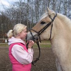 Fjordhest Birkens Hubert SOLGT <3