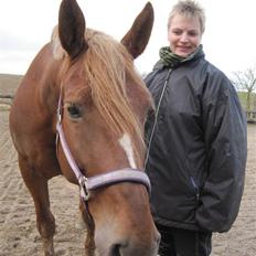 Oldenborg møllevangs menja