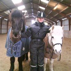 Anden særlig race Disco <3