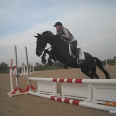 Anden særlig race Fritz.