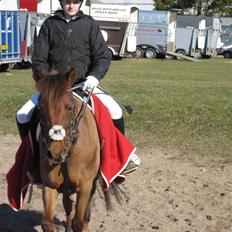 DSP Moonligth Dancer. Lånt ud