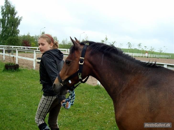Anden særlig race Beauty billede 18