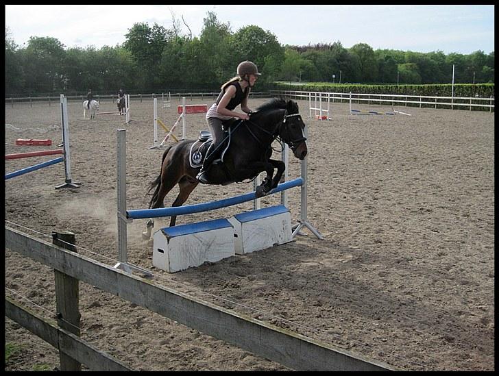 Knabstrupper Starfighter - Foto: Mathilde;) billede 11