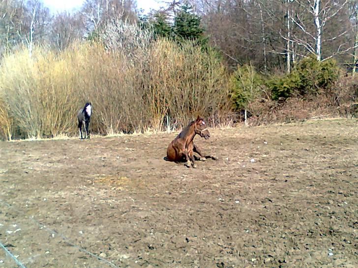 Anden særlig race tacas copy <3 R.i.P <3 - mmm sikke fin jeg bliver :D billede 11