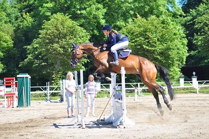 Belgisk varmblod Dalida de reve - distrektmesterskaberne for hold 2010! <3;ii billede 2