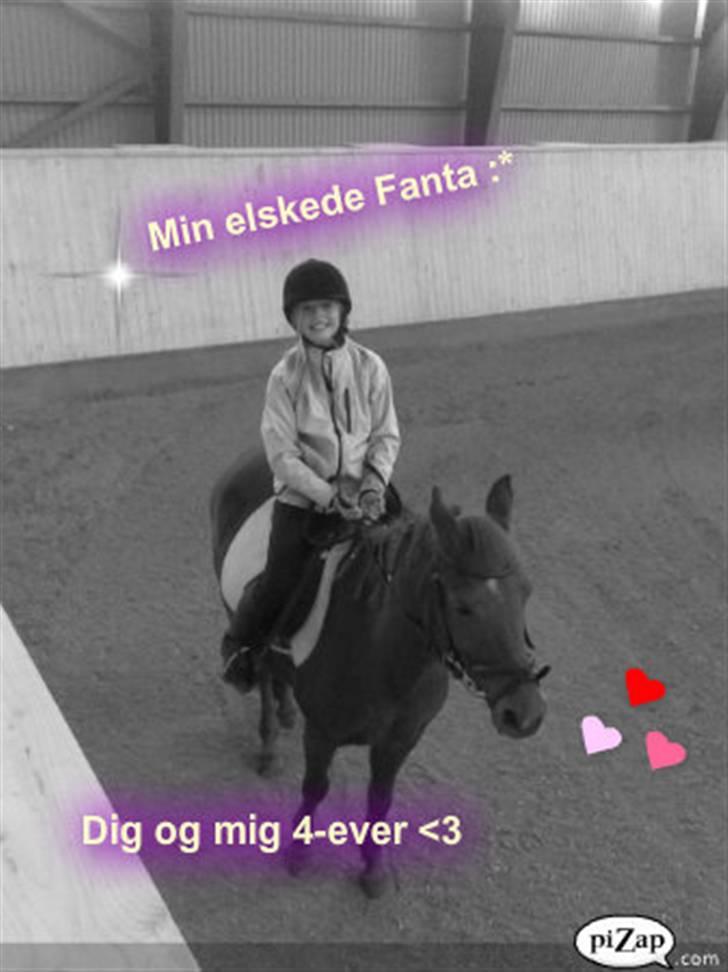 Anden særlig race Fanta *SOLGT :'(*  - Elsker dig Fanta :* billede 15