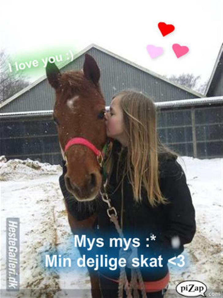 Anden særlig race Fanta *SOLGT :'(*  billede 16