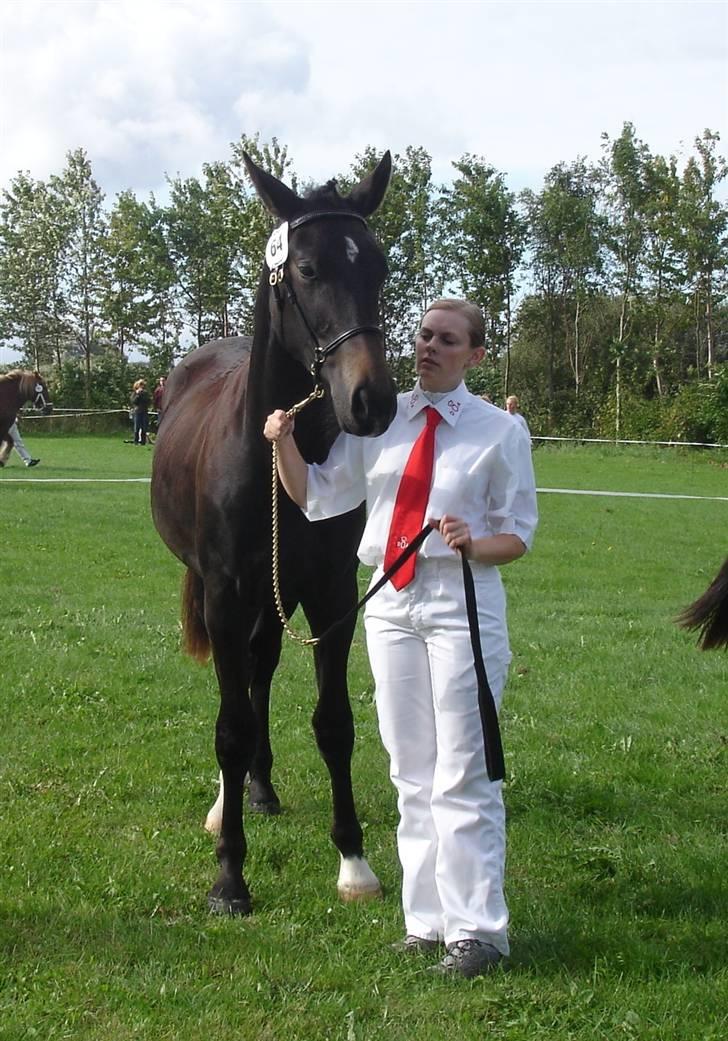 Oldenborg Adell af Vodagergård - Adell og Julie på Gørlev Føl- og Plagskue 2009 billede 17