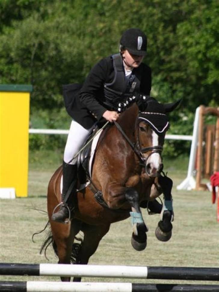 Anden særlig race Cassiopeia billede 1