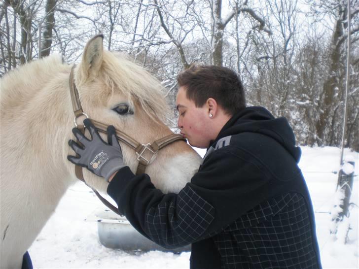 Fjordhest Unik Frølunde (solgt) - Bamse tager afsked med Bamse.. De to var bare de bedste venner.. :) billede 20