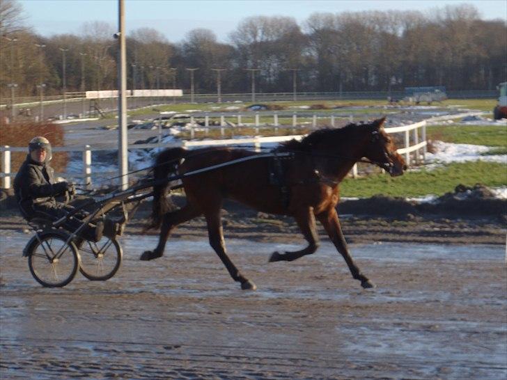 Traver Robin Faust - Hej:) Velkommen til Robin´s profil, lig gerne en kommentar+bedømmelse :D! billede 1