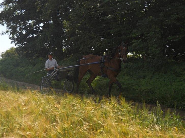 Traver Robin Faust - Robin og mig i boksen :) Foto: Mor :) billede 3