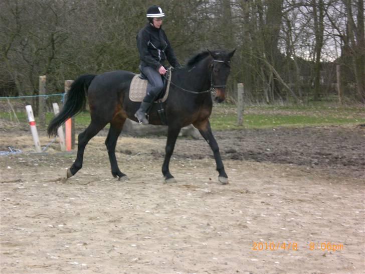 Traver Ginkgo Star - Didde prøver Ginkgo for første gang 9/4-10 billede 19