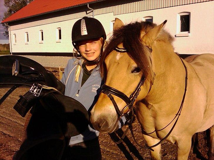 Anden særlig race Nordgaards Caroline. billede 10