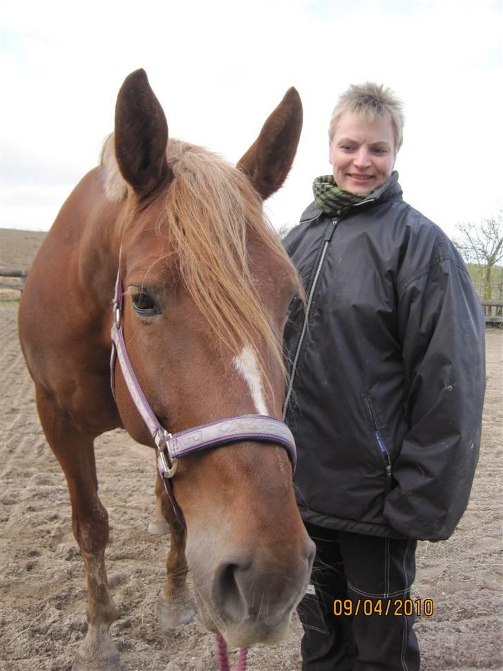 Oldenborg møllevangs menja billede 3
