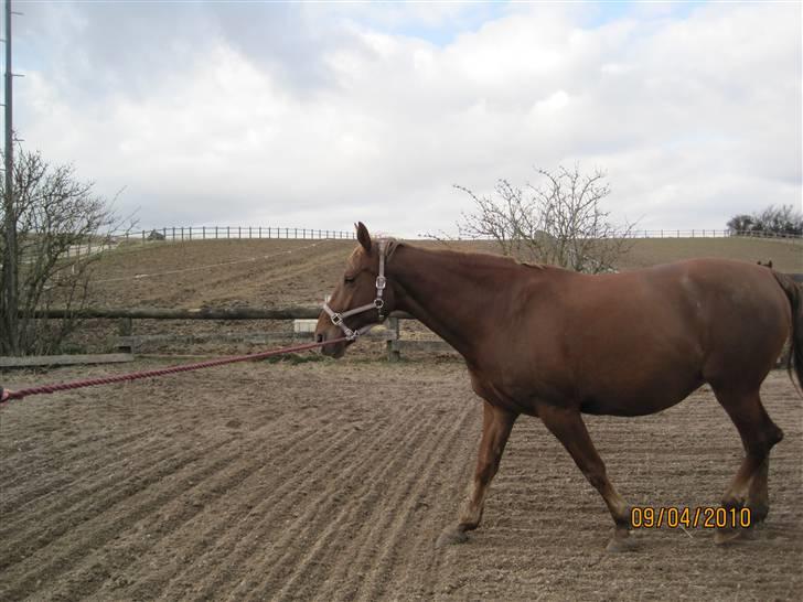 Oldenborg møllevangs menja billede 6
