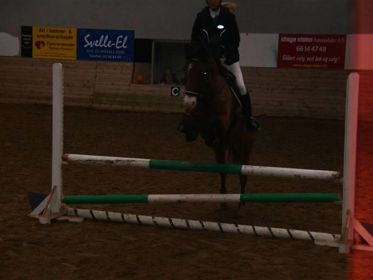 Tysk Sportspony Magic <3333 B-PONY - <3 <3 billede 20