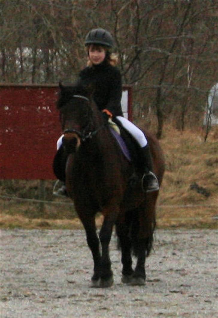 Dartmoor Mille Musen. ..solgt - øver ld1 billede 4