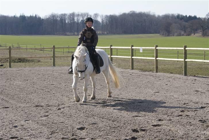 Anden særlig race Schagant  - April 2010, Så blev det forår og jeg kom igang med at ride igen Juhu..... billede 7