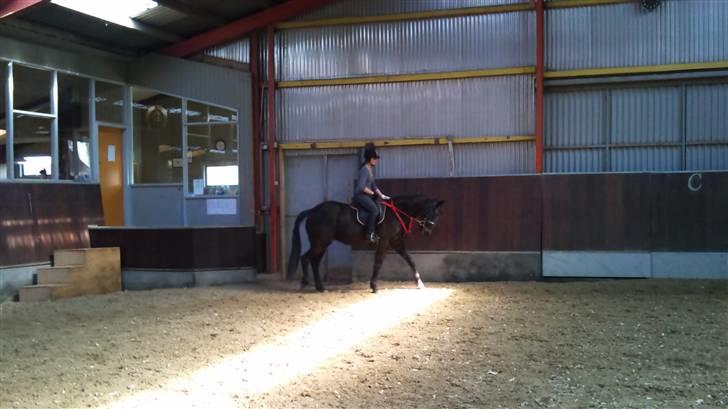 Traver zeb, R.I.P :'( ILY - billeder , 17 . 06-04-10 (: fotograf mor (: billede 17